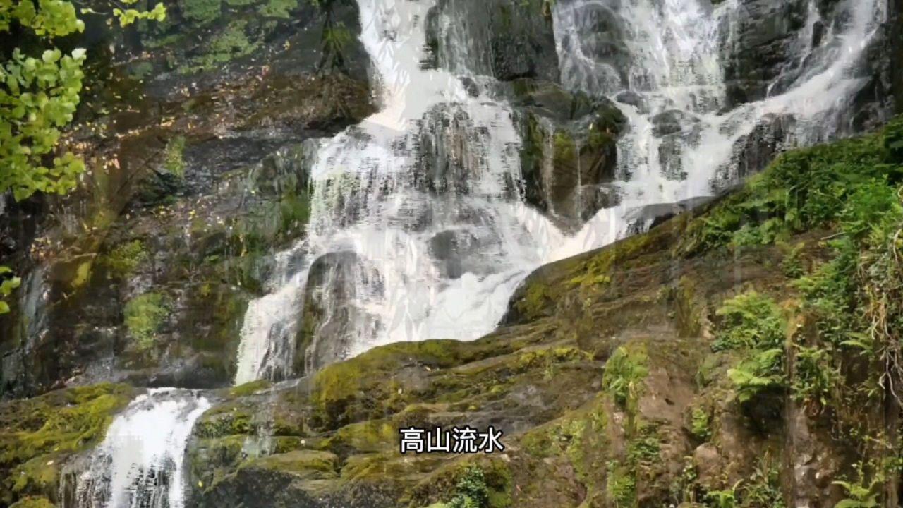 万词王