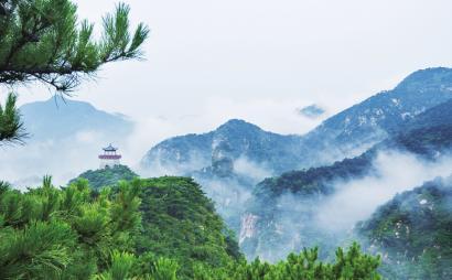 森迪公主的可爱装扮